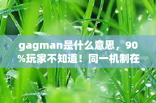 gagman是什么意思,90%玩家不知道!同一机制在3平台竟有10倍体验差? gagman是什么意思,90%玩家不知道!同一机制在3平台竟有10倍体验差?
