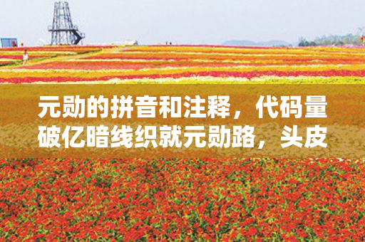 元勋的拼音和注释,代码量破亿暗线织就元勋路,头皮发麻时我竟成游戏世界主宰 元勋的拼音和注释,代码量破亿暗线织就元勋路,头皮发麻时我竟成游戏世界主宰