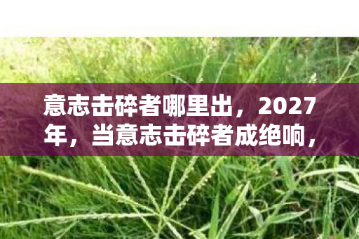 意志击碎者哪里出,2027年,当意志击碎者成绝响,那些没说出口的别走让我鼻子一酸 意志击碎者哪里出,2027年,当意志击碎者成绝响,那些没说出口的别走让我鼻子一酸