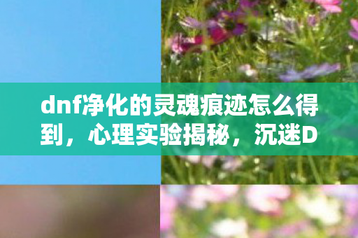 dnf净化的灵魂痕迹怎么得到,心理实验揭秘,沉迷DNF灵魂痕迹,多巴胺陷阱细思极恐 dnf净化的灵魂痕迹怎么得到,心理实验揭秘,沉迷DNF灵魂痕迹,多巴胺陷阱细思极恐