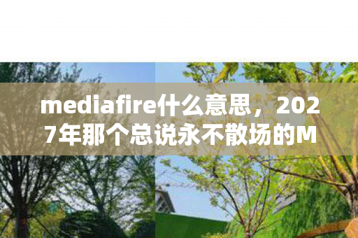 mediafire什么意思,2027年那个总说永不散场的MediaFire伙伴,如今让我鼻子一酸 mediafire什么意思,2027年那个总说永不散场的MediaFire伙伴,如今让我鼻子一酸