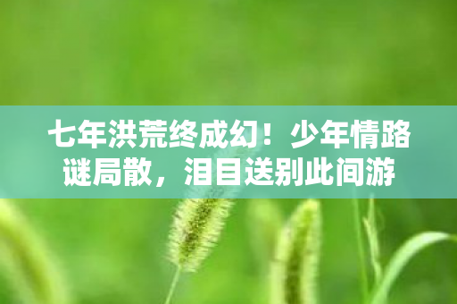 七年洪荒终成幻!少年情路谜局散,泪目送别此间游 七年洪荒终成幻!少年情路谜局散,泪目送别此间游