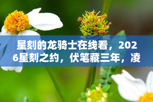 星刻的龙骑士在线看,2026星刻之约,伏笔藏三年,凌晨聊天记录里,鼻子一酸谁在等? 星刻的龙骑士在线看,2026星刻之约,伏笔藏三年,凌晨聊天记录里,鼻子一酸谁在等?