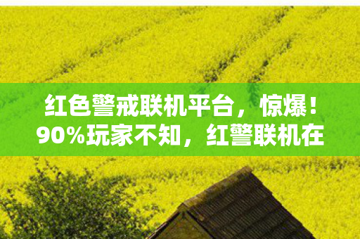 红色警戒联机平台,惊爆!90%玩家不知,红警联机在3平台竟有这离谱差距! 红色警戒联机平台,惊爆!90%玩家不知,红警联机在3平台竟有这离谱差距!