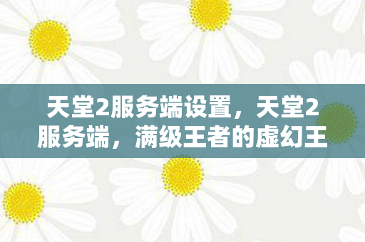天堂2服务端设置,天堂2服务端,满级王者的虚幻王座与现实废墟的灵魂震颤悖论 天堂2服务端设置,天堂2服务端,满级王者的虚幻王座与现实废墟的灵魂震颤悖论