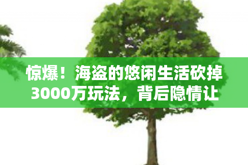 惊爆！海盗的悠闲生活砍掉3000万玩法，背后隐情让人吓一跳！
