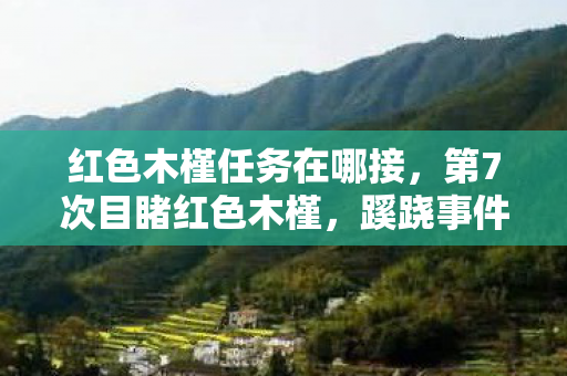红色木槿任务在哪接，第7次目睹红色木槿，蹊跷事件频发，真相揭晓后背发凉！