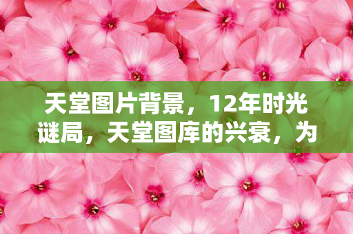 天堂图片背景，12年时光谜局，天堂图库的兴衰，为何让百万玩家泪目？