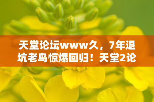 天堂论坛www久，7年退坑老鸟惊爆回归！天堂2论坛这波更新让我彻底破防了！
