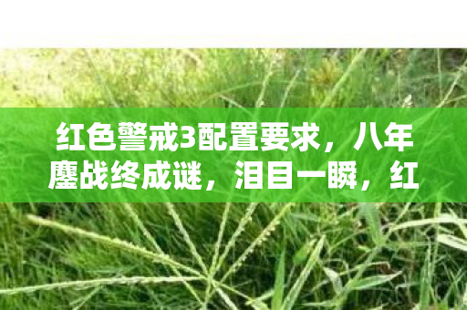 红色警戒3配置要求，八年鏖战终成谜，泪目一瞬，红警3关服倒计时里的配置残影