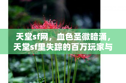 天堂sf网,血色圣徽暗涌,天堂sf里失踪的百万玩家与永不熄灭的诅咒烛台 天堂sf网,血色圣徽暗涌,天堂sf里失踪的百万玩家与永不熄灭的诅咒烛台