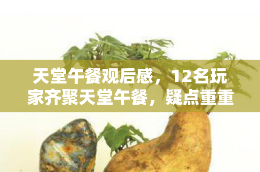 天堂午餐观后感，12名玩家齐聚天堂午餐，疑点重重，真相揭晓时众人绷不住了！