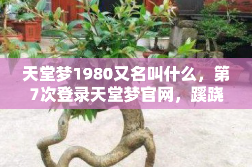 天堂梦1980又名叫什么,第7次登录天堂梦官网,蹊跷数据背后发凉,这竟是场人性实验? 天堂梦1980又名叫什么,第7次登录天堂梦官网,蹊跷数据背后发凉,这竟是场人性实验?