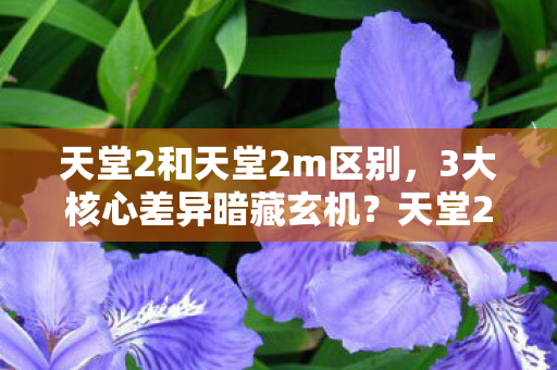 天堂2和天堂2m区别,3大核心差异暗藏玄机?天堂2老玩家亲历的版本惊变真相 天堂2和天堂2m区别,3大核心差异暗藏玄机?天堂2老玩家亲历的版本惊变真相