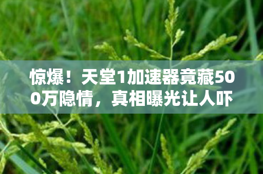 惊爆!天堂1加速器竟藏500万隐情,真相曝光让人吓一跳! 惊爆!天堂1加速器竟藏500万隐情,真相曝光让人吓一跳!