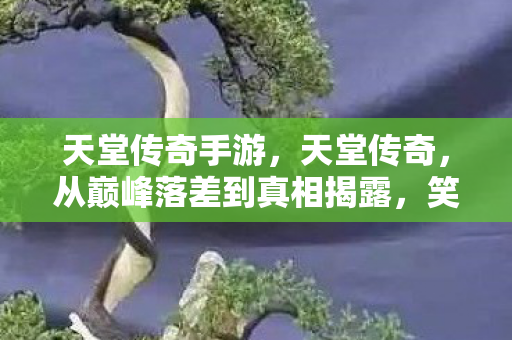 天堂传奇手游,天堂传奇,从巅峰落差到真相揭露,笑着笑着,泪已决堤 天堂传奇手游,天堂传奇,从巅峰落差到真相揭露,笑着笑着,泪已决堤