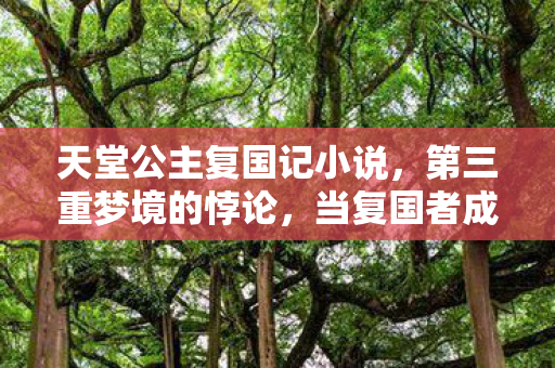 天堂公主复国记小说,第三重梦境的悖论,当复国者成为弑神者,天堂的王座在颤抖 天堂公主复国记小说,第三重梦境的悖论,当复国者成为弑神者,天堂的王座在颤抖