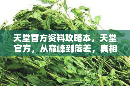 天堂官方资料攻略本,天堂官方,从巅峰到落差,真相揭晓时,笑着笑着竟哭了! 天堂官方资料攻略本,天堂官方,从巅峰到落差,真相揭晓时,笑着笑着竟哭了!