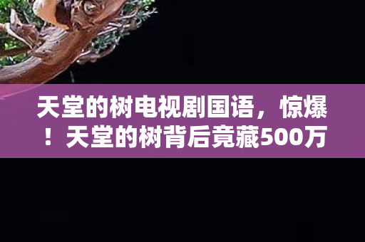 天堂的树电视剧国语,惊爆!天堂的树背后竟藏500万隐情,真相让人吓一跳! 天堂的树电视剧国语,惊爆!天堂的树背后竟藏500万隐情,真相让人吓一跳!