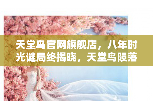 天堂鸟官网旗舰店,八年时光谜局终揭晓,天堂鸟陨落瞬间,泪目见证终章! 天堂鸟官网旗舰店,八年时光谜局终揭晓,天堂鸟陨落瞬间,泪目见证终章!