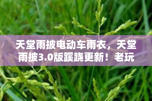 天堂雨披电动车雨衣,天堂雨披3.0版蹊跷更新!老玩家惊呼,这波情怀杀太上头! 天堂雨披电动车雨衣,天堂雨披3.0版蹊跷更新!老玩家惊呼,这波情怀杀太上头!