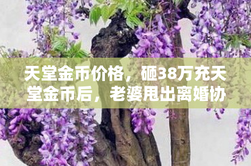 天堂金币价格,砸38万充天堂金币后,老婆甩出离婚协议,这隐情让我吓到腿软! 天堂金币价格,砸38万充天堂金币后,老婆甩出离婚协议,这隐情让我吓到腿软!