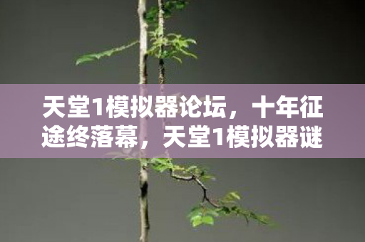 天堂1模拟器论坛,十年征途终落幕,天堂1模拟器谜题终解,泪目见证传奇谢幕! 天堂1模拟器论坛,十年征途终落幕,天堂1模拟器谜题终解,泪目见证传奇谢幕!