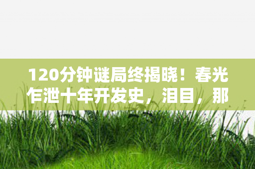 120分钟谜局终揭晓!春光乍泄十年开发史,泪目,那些消失的代码与灵魂 120分钟谜局终揭晓!春光乍泄十年开发史,泪目,那些消失的代码与灵魂