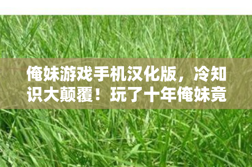 俺妹游戏手机汉化版,冷知识大颠覆!玩了十年俺妹竟不知这设定,令人目瞪口呆! 俺妹游戏手机汉化版,冷知识大颠覆!玩了十年俺妹竟不知这设定,令人目瞪口呆!