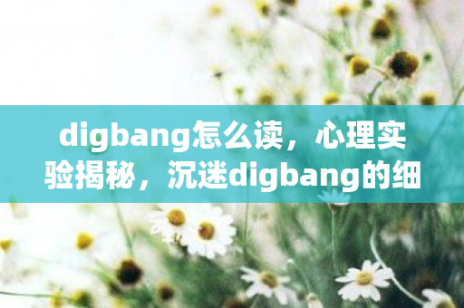 digbang怎么读,心理实验揭秘,沉迷digbang的细思极恐自我麻醉之旅 digbang怎么读,心理实验揭秘,沉迷digbang的细思极恐自我麻醉之旅