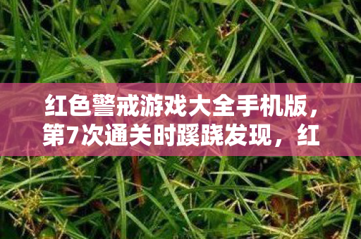 红色警戒游戏大全手机版,第7次通关时蹊跷发现,红色警戒背后竟藏着让我后背发凉的真相! 红色警戒游戏大全手机版,第7次通关时蹊跷发现,红色警戒背后竟藏着让我后背发凉的真相!