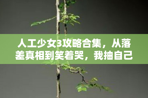 人工少女3攻略合集，从落差真相到笑着哭，我抽自己嘴巴却戒不掉人工少女3的瘾