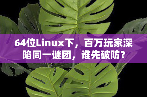 64位Linux下，百万玩家深陷同一谜团，谁先破防？