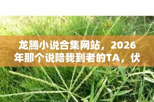 龙腾小说合集网站，2026年那个说陪我到老的TA，伏笔藏满青春，如今想起鼻子一酸
