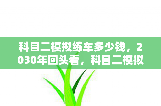 科目二模拟练车多少钱,2030年回头看,科目二模拟练车72小时,竟藏着人生最狠的真相! 科目二模拟练车多少钱,2030年回头看,科目二模拟练车72小时,竟藏着人生最狠的真相!