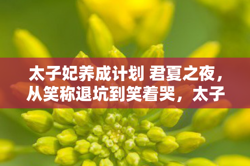 太子妃养成计划 君夏之夜，从笑称退坑到笑着哭，太子妃养成计划里，落差与真相的温柔一刀