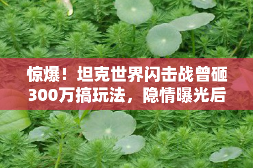 惊爆！坦克世界闪击战曾砸300万搞玩法，隐情曝光后真让人吓一跳！