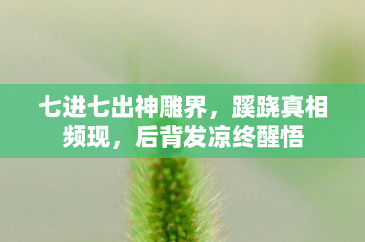七进七出神雕界，蹊跷真相频现，后背发凉终醒悟