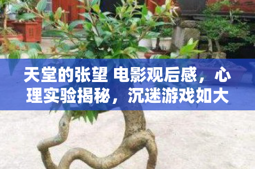 天堂的张望 电影观后感,心理实验揭秘,沉迷游戏如大脑手术,细思极恐的多巴胺陷阱 天堂的张望 电影观后感,心理实验揭秘,沉迷游戏如大脑手术,细思极恐的多巴胺陷阱