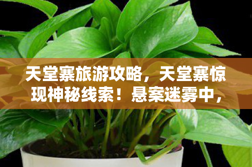 天堂寨旅游攻略,天堂寨惊现神秘线索!悬案迷雾中,毛骨悚然真相等你揭晓 天堂寨旅游攻略,天堂寨惊现神秘线索!悬案迷雾中,毛骨悚然真相等你揭晓