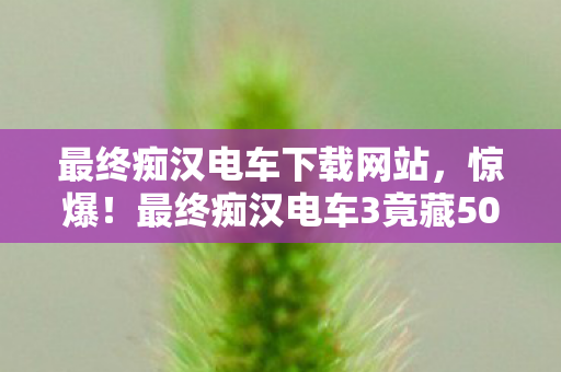 最终痴汉电车下载网站,惊爆!最终痴汉电车3竟藏500万隐情,真相让人吓一跳! 最终痴汉电车下载网站,惊爆!最终痴汉电车3竟藏500万隐情,真相让人吓一跳!