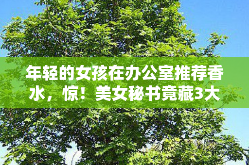 年轻的女孩在办公室推荐香水,惊!美女秘书竟藏3大逆天技能,99%人不知的职场开挂秘籍! 年轻的女孩在办公室推荐香水,惊!美女秘书竟藏3大逆天技能,99%人不知的职场开挂秘籍!