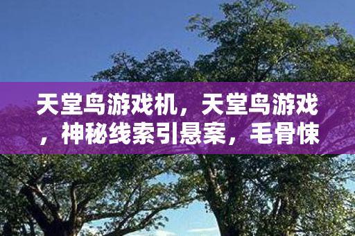 天堂鸟游戏机,天堂鸟游戏,神秘线索引悬案,毛骨悚然困兽十年未逃 天堂鸟游戏机,天堂鸟游戏,神秘线索引悬案,毛骨悚然困兽十年未逃