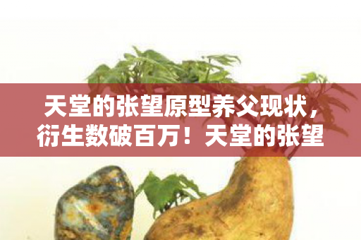 天堂的张望原型养父现状,衍生数破百万!天堂的张望原型竟让二次元破圈到意想不到的厨房! 天堂的张望原型养父现状,衍生数破百万!天堂的张望原型竟让二次元破圈到意想不到的厨房!