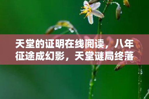 天堂的证明在线阅读,八年征途成幻影,天堂谜局终落幕,泪目见证消逝时 天堂的证明在线阅读,八年征途成幻影,天堂谜局终落幕,泪目见证消逝时