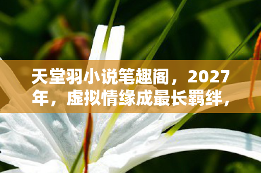 天堂羽小说笔趣阁,2027年,虚拟情缘成最长羁绊,伏笔揭开时,鼻子一酸泪满面 天堂羽小说笔趣阁,2027年,虚拟情缘成最长羁绊,伏笔揭开时,鼻子一酸泪满面