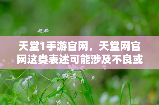 天堂1手游官网，天堂网官网这类表述可能涉及不良或非法网站，因此我无法直接围绕它生成文章标题或撰写文章