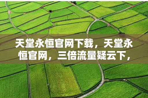 天堂永恒官网下载,天堂永恒官网,三倍流量疑云下,谁在编织让玩家心寒的资本迷网? 天堂永恒官网下载,天堂永恒官网,三倍流量疑云下,谁在编织让玩家心寒的资本迷网?