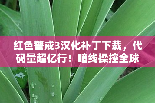 红色警戒3汉化补丁下载,代码量超亿行!暗线操控全球神经,这汉化补丁让人头皮发麻 红色警戒3汉化补丁下载,代码量超亿行!暗线操控全球神经,这汉化补丁让人头皮发麻