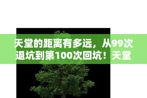 天堂的距离有多远,从99次退坑到第100次回坑!天堂的距离竟藏这致命吸引力? 天堂的距离有多远,从99次退坑到第100次回坑!天堂的距离竟藏这致命吸引力?